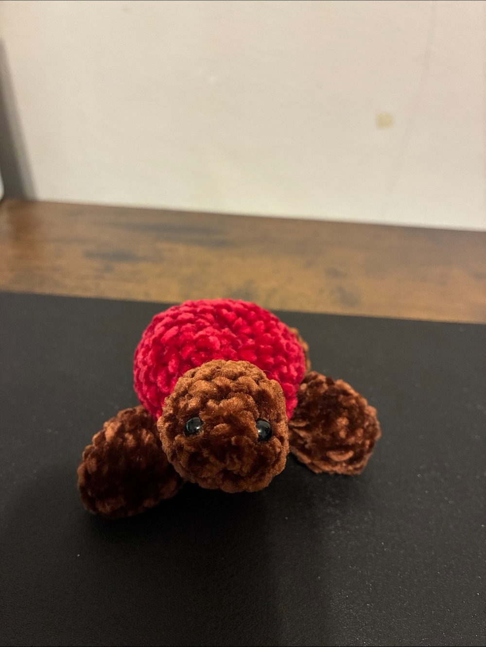 Crotched Turtle - Picture 2 of 7